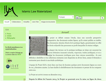 Tablet Screenshot of ilm-project.net